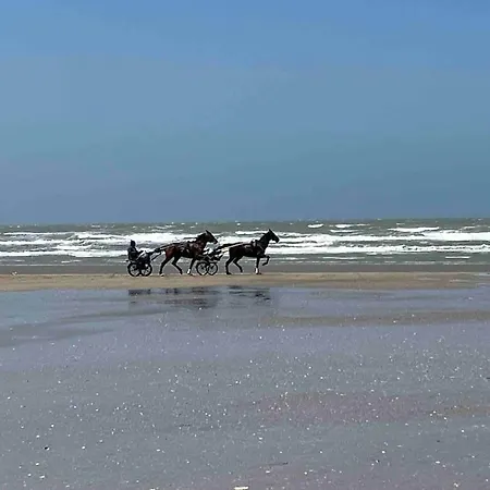 Appartement, Plage, Centre - Aquilon *