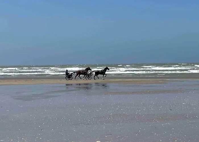 Appartement, Plage, Centre - Aquilon *